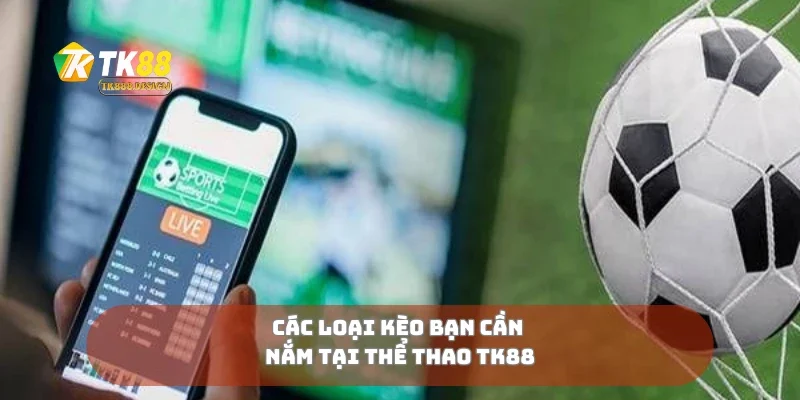 Các loại kèo bạn cần nắm tại thể thao TK88
