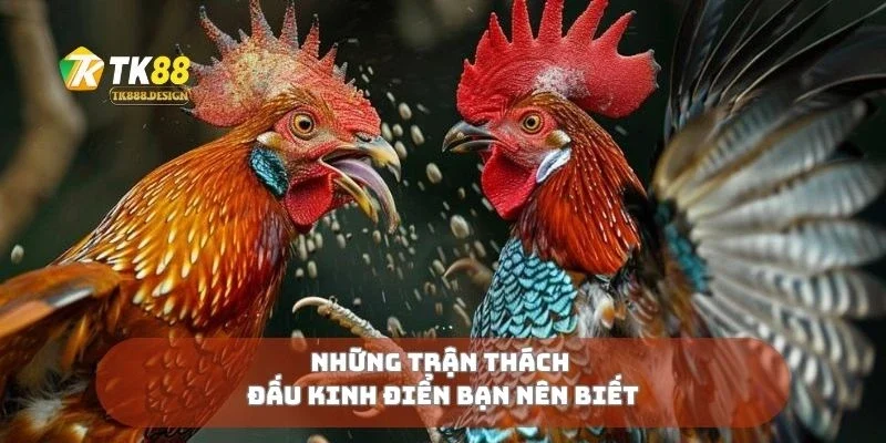 Những trận thách đấu kinh điển bạn nên biết